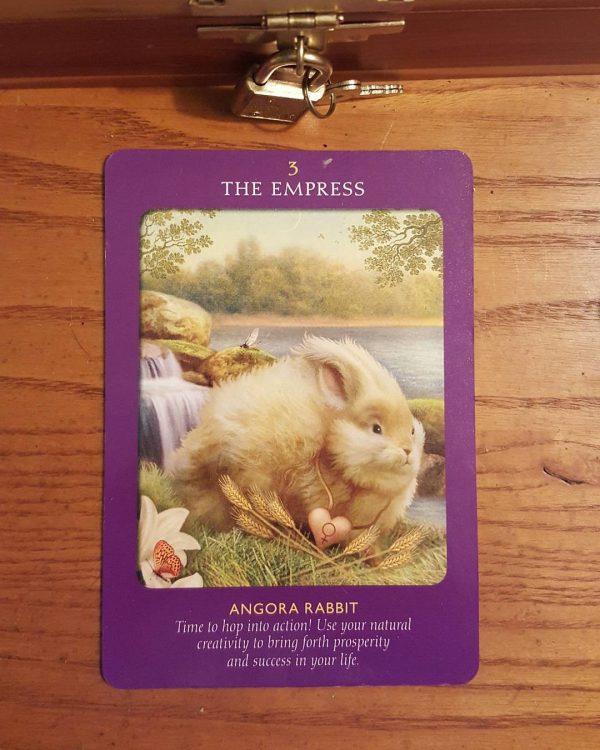 Animal Tarot Cards