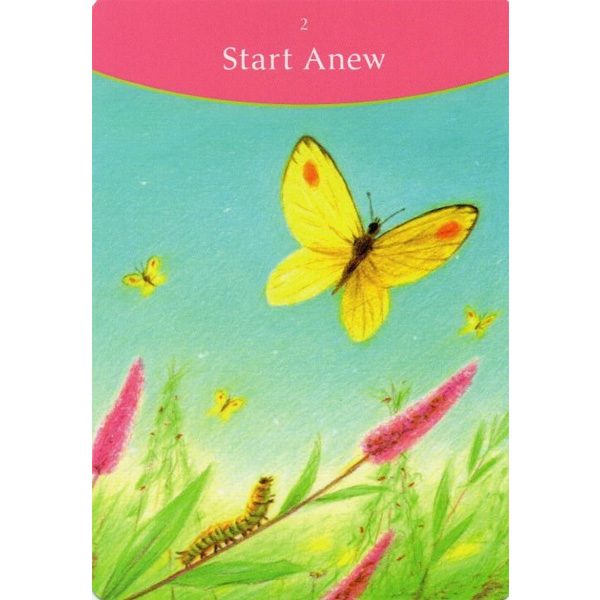 Answer is Simple Oracle Cards