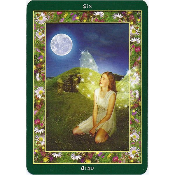 Fairy Ring Oracle