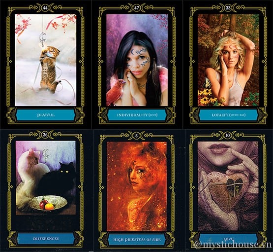 Wisdom Of House Of Night Oracle Cards