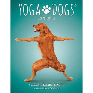 Yoga Dogs Oracle